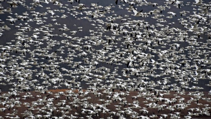 Quantitative finance professionals not clued-in when it comes to AI