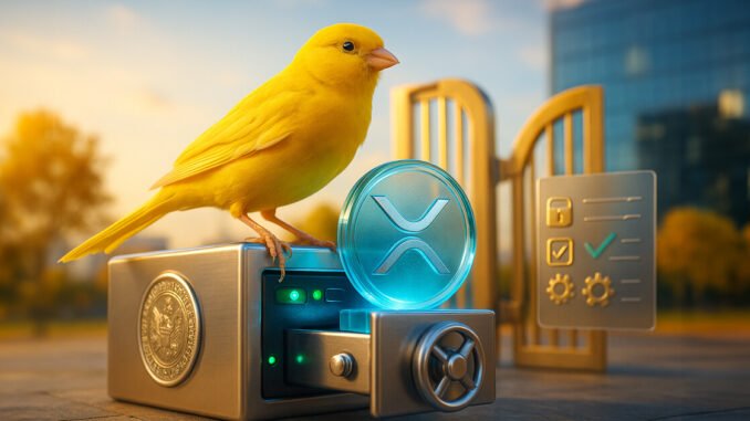 Recording $36M volume on debut, challenges BSOL record