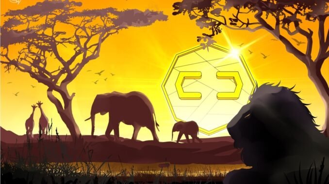 South Africa Central Bank Finds No Urgent Need for CBDC