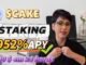 Staking CAKE coin – Mercado bullish PancakeSwap NFT & Blockchain