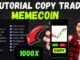 Tips Trading Memecoin Auto Profit - Copy Trade Memecoin Tradewiz #trading #dexscreener #memecoins
