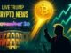 Trump Crypto News Live Today: Fresh Updates from the US Crypto Space (November 20)