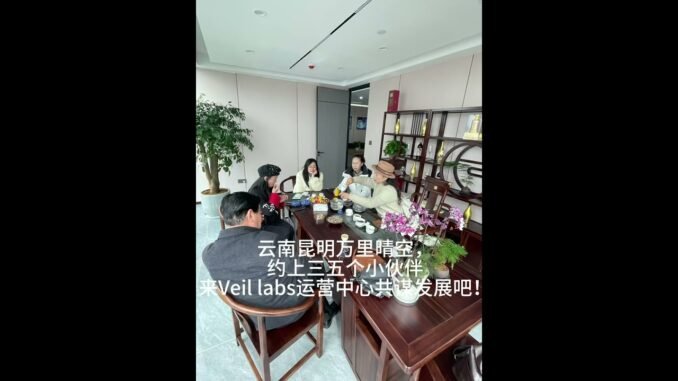 VeilLabs   #web3crypto#veilwallet #web3