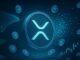 XRP Enters New Phase as Whale Accumulation Gives Way to Retail Volatility – Analyst