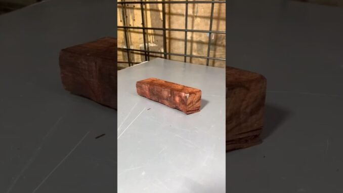 लाल चदंन vs AI 😳 shoking Reality🤫