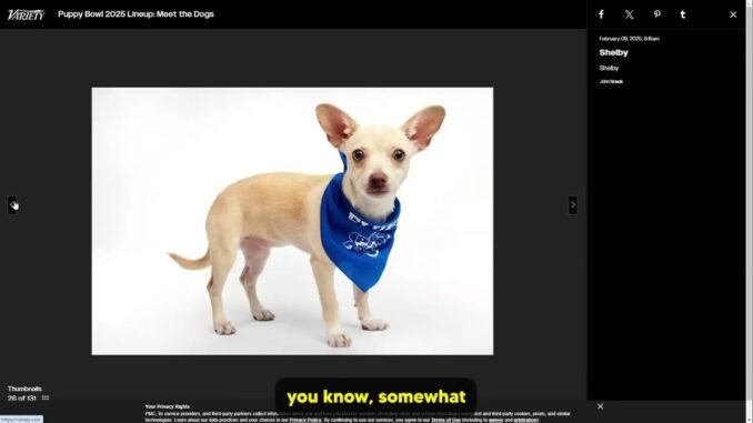 "How to Launch a Successful Meme Coin on Pump.fun - Complete Step-by-Step Guide 2025 part1