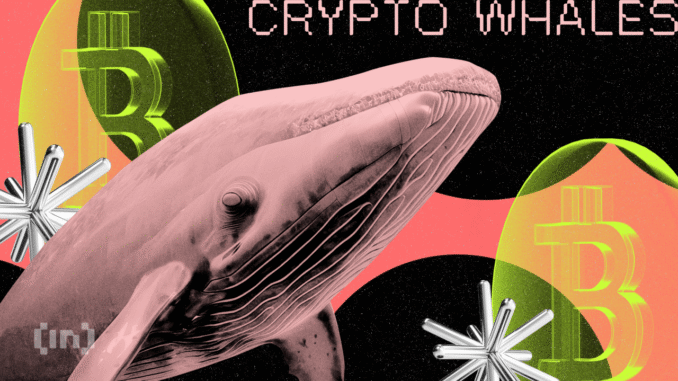8 Million MONAD Dumped By Whales — Will the Price 8 Million MONAD Dumped By Whales — Will the Price Hold Up?