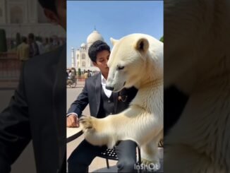 AI se video kaise banaye? | 1 minute me AI Shorts 🔥⭐ #ai