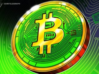 Bitcoin Cash Becomes Year’s Best-Performing L1 With 40% Gain