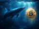 Bitcoin Whales