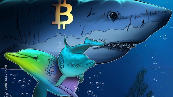 Bitcoin Sharks Accumulate at Fastest Pace Since 2012 as BTC Slides