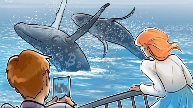 Bitcoin Whales Double Down on BTC Bull Market to end 2025