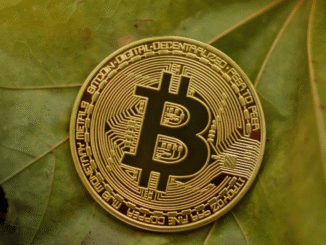 Bitcoin vola a $93k ed Ethereum a $3k: Svelato il motivo del "Pump" coordinato