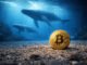 Bitcoin ‘whales’ didn’t buy $5 billion