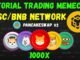 Cara Trading Memecoin Jaringan BSC/BNB - Dexscreener BSC Memecoin #dexscreener #memecoin #tradewiz