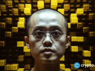 Changpeng Zhao bets on stablecoin 2.0 as BNB Chain sheds ‘undervalued’ label