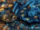 EU governments agree on common position for digital Euro - 1
