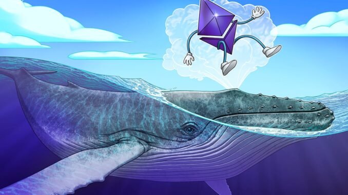 Ethereum Whales Open 136K ETH Long Bets Amid 28% Price Rise Potential