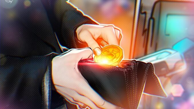 Fin Raises $17M to Launch Global Stablecoin Payments App