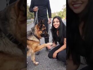 Grok AI Image-to-Video: Is it the Sora Killer?