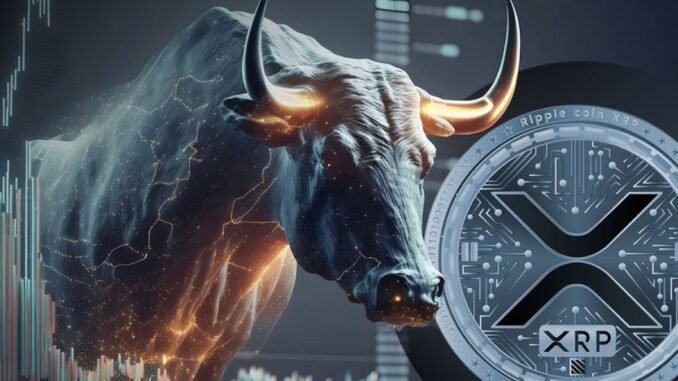 XRP bull