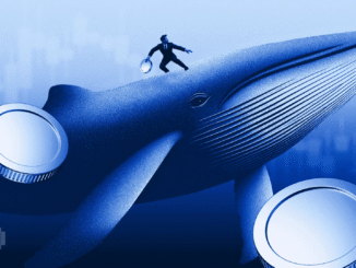 How Are Ethereum Investors Reacting to Mounting Losses?