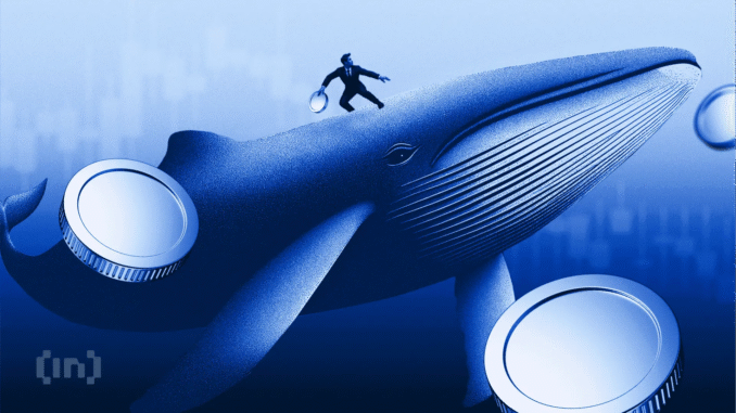 How Are Ethereum Investors Reacting to Mounting Losses? How Are Ethereum Investors Reacting to Mounting Losses?