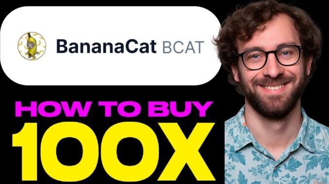 How to Buy BCAT Token on PancakeSwap (BNB Chain)