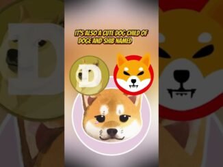 How to Find the Next Crypto Meme Coin Early?