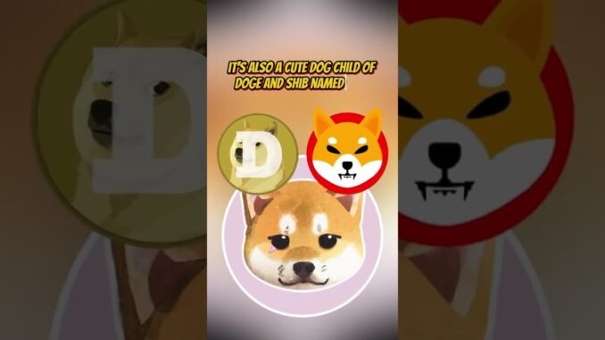 How to Find the Next Crypto Meme Coin Early?