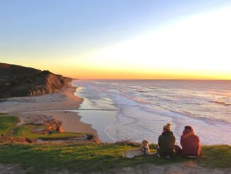 IBM cites agentic AI, data policies, and quantum as 2026 trends