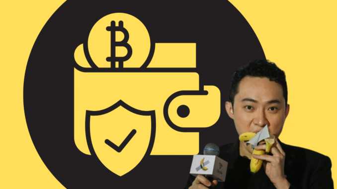 Justin Sun Sposta 100 Milioni di TRX da Binance