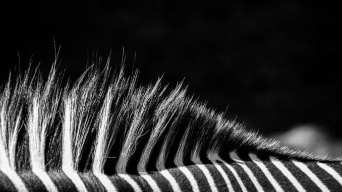 Juventus owner rejects acquisition offer from Tether Juventus owner rejects acquisition offer from Tether