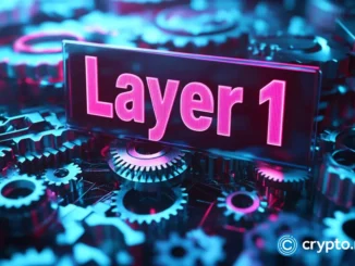 Layer 1 tokens face reckoning as user growth stalls and revenues concentrate