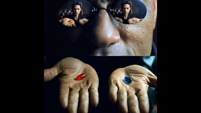 Most People Will Choose the Wrong Pill  #AI #Crypto