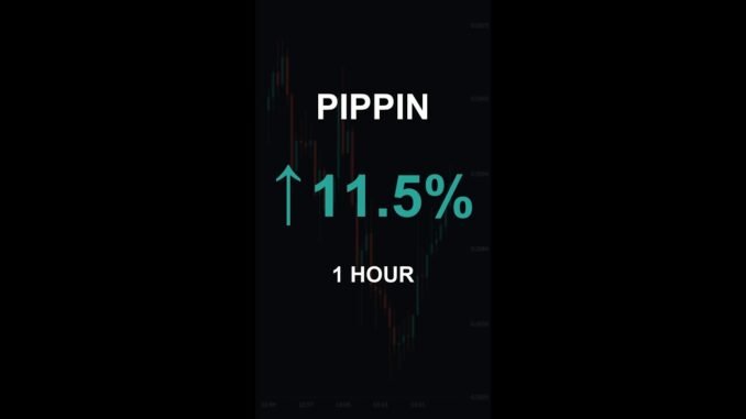 PIPPIN is up 11.5% in 1 hour!⚡December 12, 2025 | #pippin #coins #altcoins #crypto #shorts