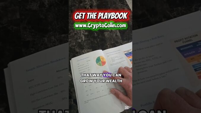 The Ultimate Crypto Portfolio for Beginners #cryptoforbeginners #investing