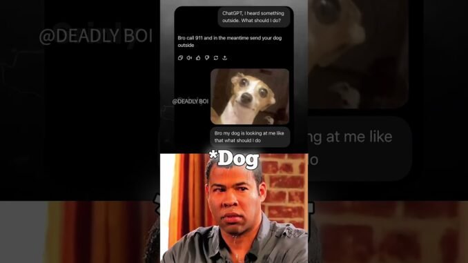 The funniest moments when I asked Chatgpt the dumbest questions.🤣 (PART-11)#chatgpt #viral #memes