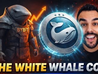 This Coin Single Handed Saved Pump Fun & The Meme Season. Insane!