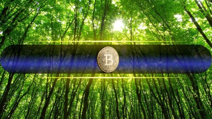 This Year Has Been a Drag But BTC is Still Up Over 400% Since Cycle Low