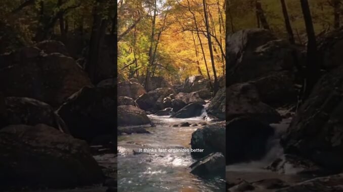 Top Ways AI Makes Life Simpler — Beginners Must Watch!”#easyai#aiautomation#aitools#ai#upsc#techtips