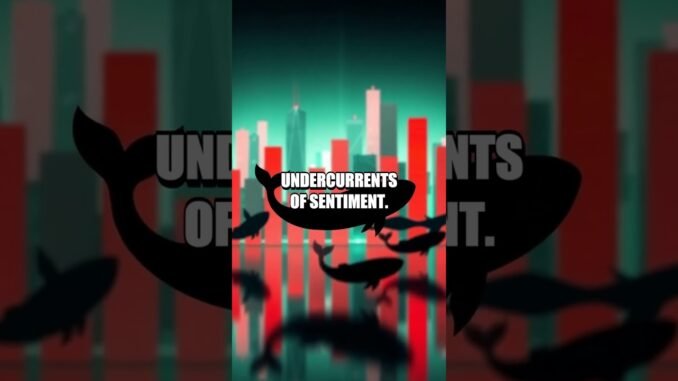 Whale Signals and Rotations