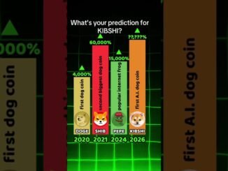 Which Crypto Meme Coin to Invest Now? KIBSHI