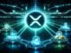 XRP พลิกเกม DeFi ข้อมูล Flare ชี้เงินไหลจริง ไม่ใช่แค่กระแส