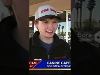 #bodycam #automobile #carevent #ai #news #carmeet #police #store #dog #dogs