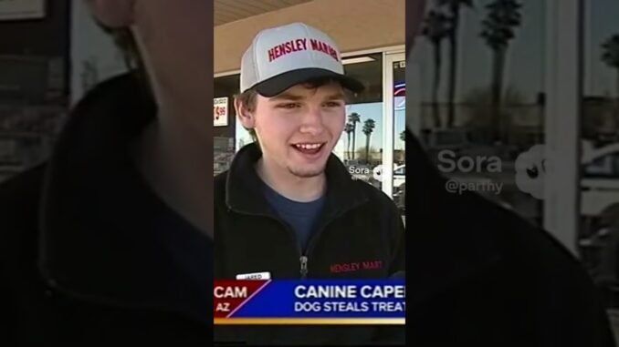 #bodycam #automobile #carevent #ai #news #carmeet #police #store #dog #dogs