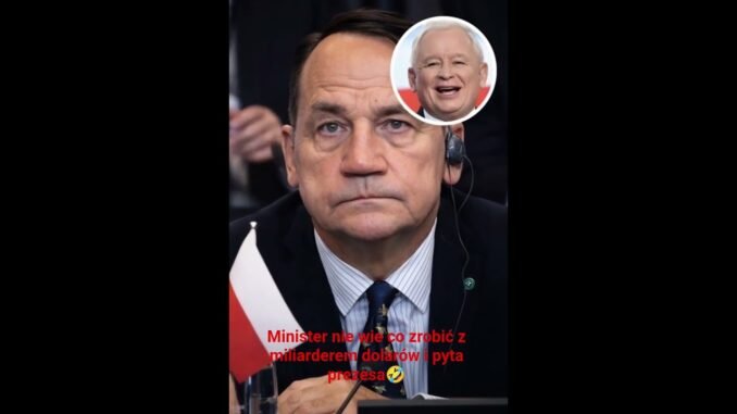 @Minister pyta prezesa co zrobić z dolarami 🤣 #polityka #ai #news #parodia #sikorski #polska #pis