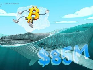 A Dormant BTC Wallet Just Moved After 13 Years