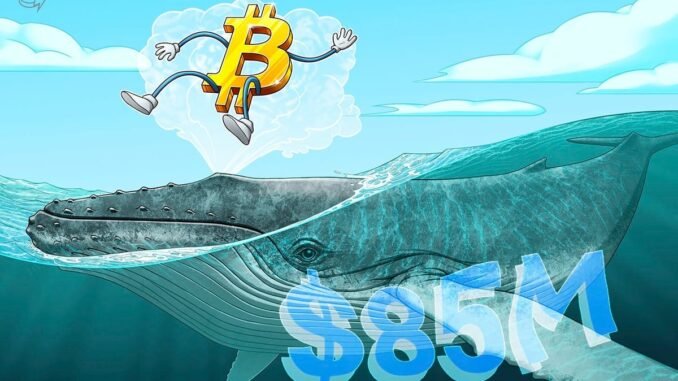 A Dormant BTC Wallet Just Moved After 13 Years