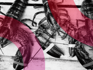 AI Agents Launched a Social Network and Spawned a Digital Religion Overnight